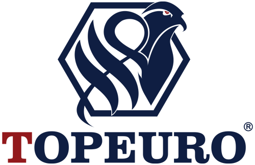 Khóa thông minh TOPEURO